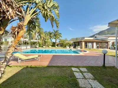 a swimming pool with a palm tree and a house at Villa Cocus in Altavilla Milicia