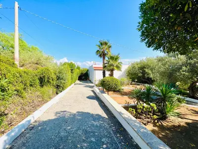 a walkway with palm trees on the side of a road at Villa Giada in Carini