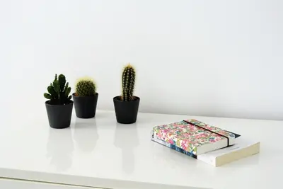 a white table with three cactuses and a book at Be Central Rooms in Palermo