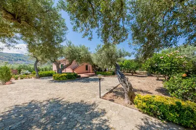 a garden with a tree and some bushes at Villa Bruna in Cefalù