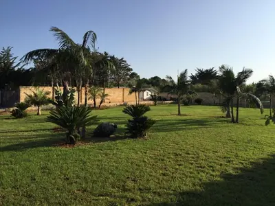 a park with palm trees and a field of grass at Petruso Resort e SPA in Balestrate