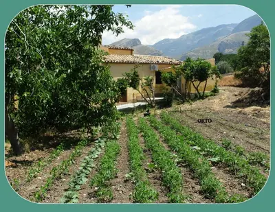 a field of crops in front of a house at Agriturismo Ilardo in Collesano