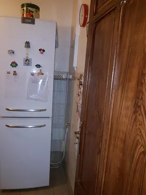 a white refrigerator in a kitchen next to a wooden door at B&B SAMMARTINO in Palermo