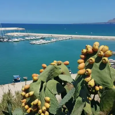 Loft in Balestrate vicino al Mare - Rental BeB