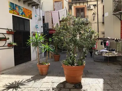 a group of potted plants inront of a building at Reginella B&B Palermo in Palermo