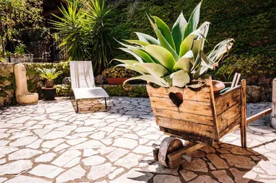 a potted plant in a wooden crate on a patio at Villa Zabbara Capo Zafferano in Bagheria