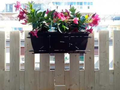 a planter on top of a wooden fence with flowers at Ariston Petit Hotel in Palermo
