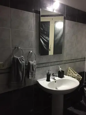 a bathroom with a sink and a mirror at Virginia House in Palermo