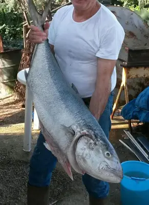 a man holding a large fish in his hands at Casa Maro' in Palermo