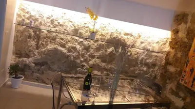 a glass table with a bottle of wine on a wall at La Vecchia Stalla in Palermo