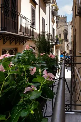 a bunch of pink flowers on a balcony at Vasa Vasa Home in Palermo