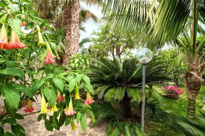 a garden with flowers and a street light and a palm tree at RUMAH SAYA in Campofelice di Roccella