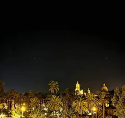 a night view of a building with palm trees and lights at The Normans Apartments in Palermo