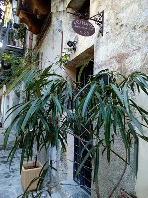 a plant is growing in front of a building at Arimatea Accommodations in Palermo