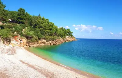 a beach with clear blue water and trees at Villette di Scopello - Casa Vacanze in Scopello