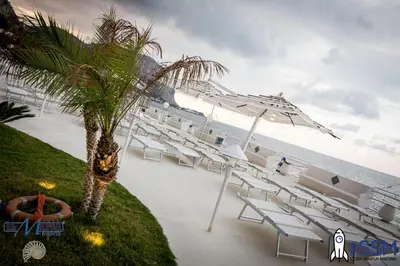 a group of chairs and a palm tree next to the beach at La Marsa Vacances in Mondello