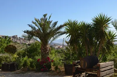 a garden with palm trees and flowers and a barrel at Villa della Mimosa in Alia