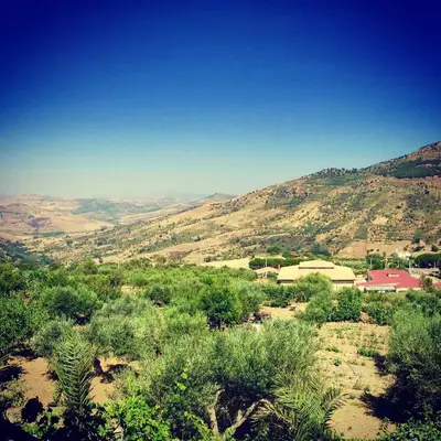 a view of a valley with trees and mountains at Villa della Mimosa in Alia