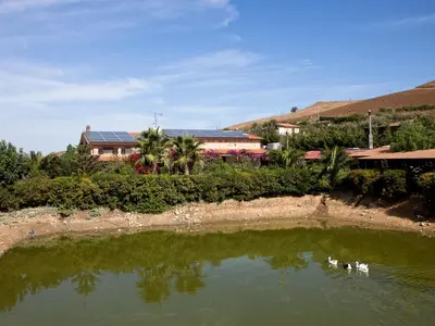 a body of water with a house in the background at Villa in Alia with Pool & Olive Views in Alia