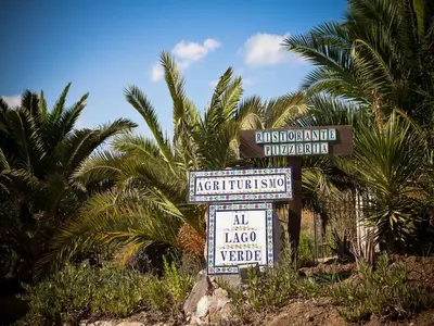 a group of signs in front of palm trees at Villa in Alia with Pool & Olive Views in Alia