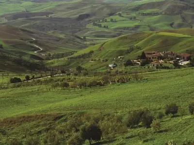 a green hillside with a house in the middle at Villa in Alia with Pool & Olive Views in Alia