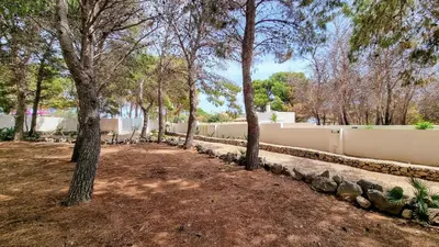 a row of trees in a yard with a fence at Villetta SanVito - Sunrise & Sunset in San Vito lo Capo