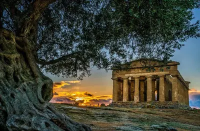 a building on top of a hill with a tree at Sicilia Case Vacanze in Balestrate