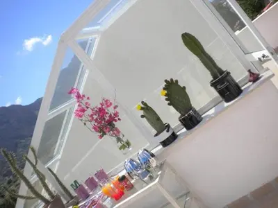 a row of cactuses sitting on a shelf next to a window at B&B Le Biciclette in San Vito lo Capo
