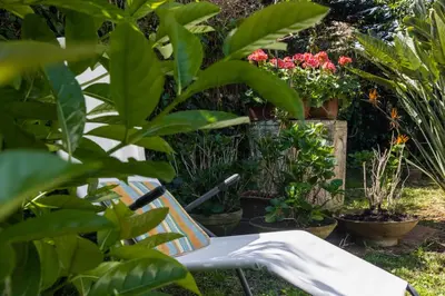 a bench in a garden with plants and flowers at Villa Gabriella - Mondello in Mondello