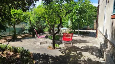 a group of chairs sitting next to a tree at Villa Serrano in Palermo