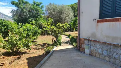 an open door to a house with a garden at Villa Serrano in Palermo