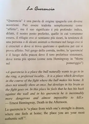 a page of a letter from a manuscript at La Querencia in Palermo