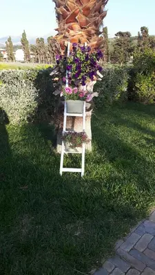 a ladder with a pot of flowers on it at Beb oasi marina in Campofelice di Roccella