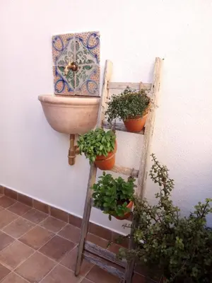 a bathroom with potted plants and a toilet on a wall at Il terrazzino sul Kemonia in Palermo