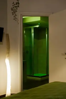 a glass shower in a bedroom with a green ceiling at Affittacamere B&B Carella in Palermo