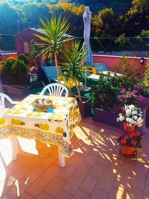 a table and chairs on a patio with plants at OrangeBalestrate in Balestrate