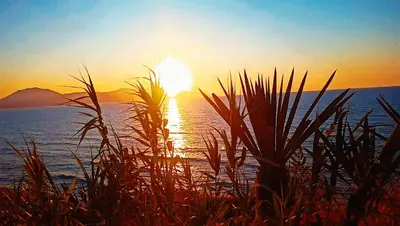 a sunset over a body of water with grass at OrangeBalestrate in Balestrate