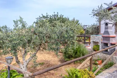 a garden with an olive tree and a church at Baglio cracchiolo da tuzzo Villa Ulivo in San Vito lo Capo