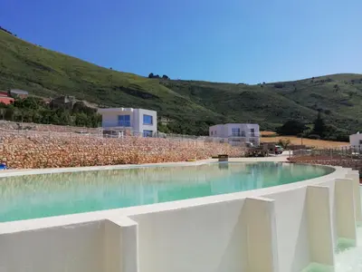 a swimming pool in front of a vineyard at Villa Vitruvio - Giardino degli Allori Scopello in Castellammare del Golfo
