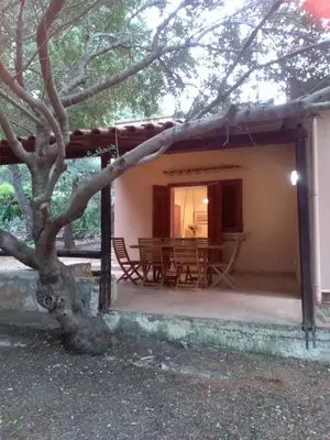 a porch of a house with chairs and a tree at Villa Marilù in Castellammare del Golfo