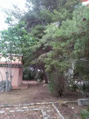 a house with trees in front of a yard at Villa Marilù in Castellammare del Golfo