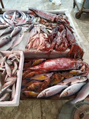 a bunch of fish on display at a market at Aspra al delfino blu in Bagheria