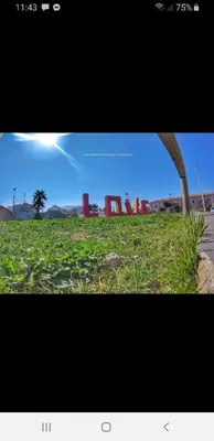 a picture of a field of green grass with the sky at CASA CALISI in Terrasini