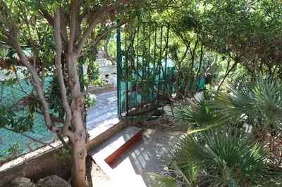 a garden with a tree and a playground at Casa Elvira in Terrasini