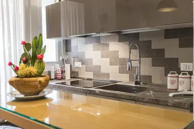 a kitchen with a sink and a cactus on a counter at Maison Heloise in Palermo