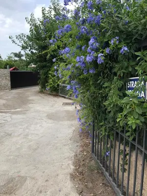 a fence with blue flowers on it at Xenia House in Lascari