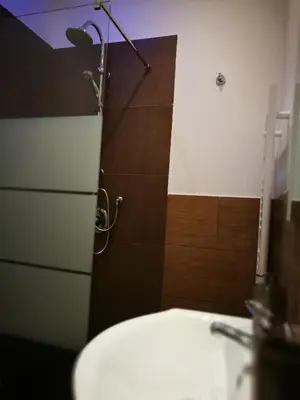 a bathroom with a toilet and a shower stall at BELLA PALERMO in Palermo