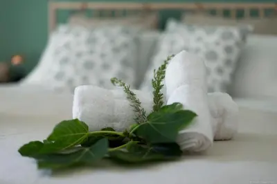 a roll of toilet paper and a plant on a table at Casa Martini Mondello in Palermo