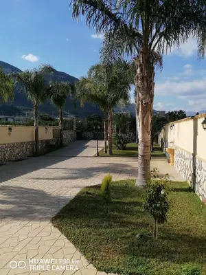 a walkway with palm trees and a fence at Paradise in Palermo
