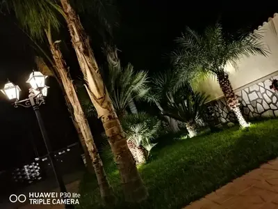 a group of palm trees in a yard at night at Paradise in Palermo